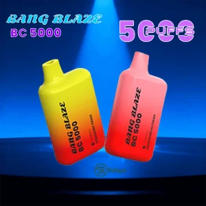 Bang Blaze BC5000 | 5000Puffs & Dualvesh1.20 & 600mAh Disposable Device