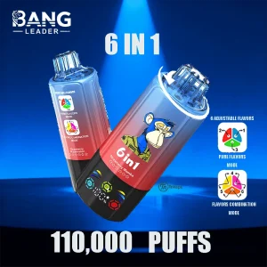 Bang Leader 110K – Pure Flavors Mode and Flavors Combination Mode & 110,000 Puffs & LED Display