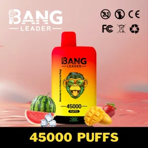 Bang Leader 45000 Puffs Double Flavor 45k Disposable Vape 2 in 1