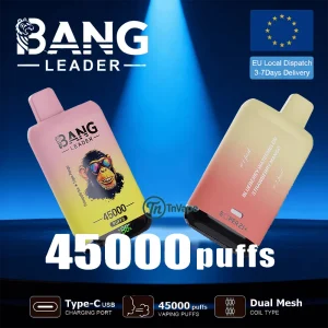 Bang Leader 45K – 45000Puffs, Supports OEM/ODM, Type-C Fast Charging Port