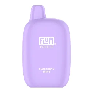 Blueberry Mint FLUM Pebble - Vapeoutletus Online Vape Store