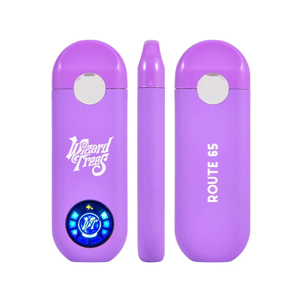 Empty Wizard Trees 2g Disposable Wholesale