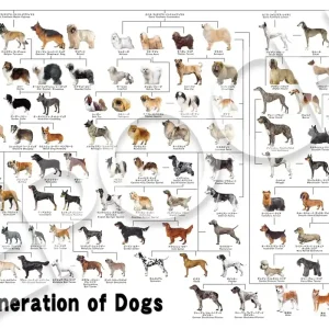 Epoch 1000-Piece Jigsaw Puzzle Dog Family Tree 50x75cm with Glue and Tools