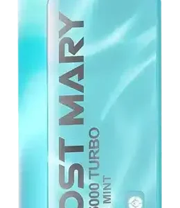 Winter Mint Lost Mary MT15000 Turbo